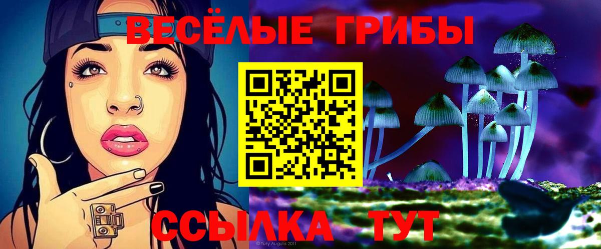Домодедово  Галлюциногенные грибы Psilocybe  Вход с VPN 